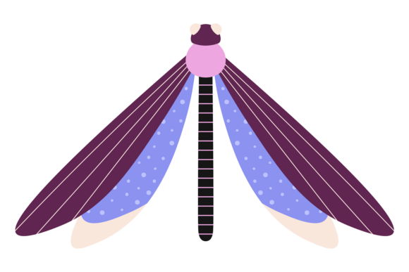 Decorative Dragonfly Color Drawing: A Summer Design Asset